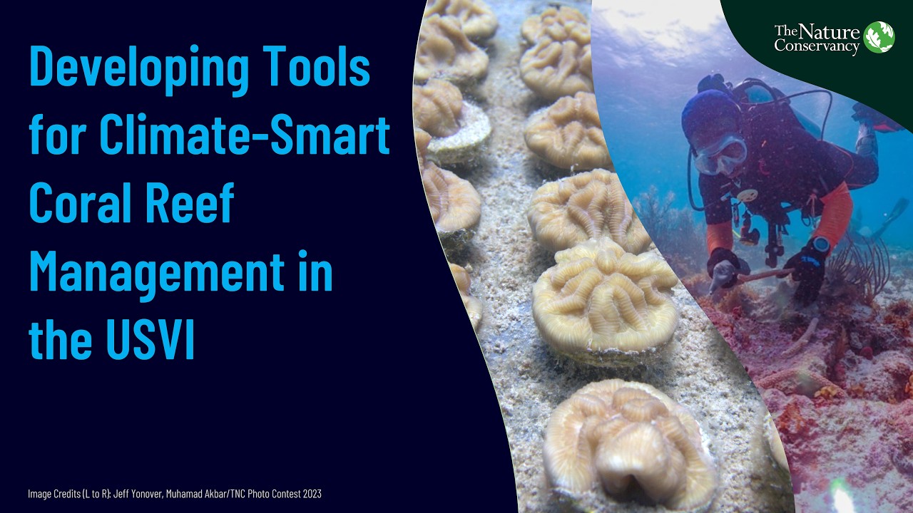 Developing Tools for Climate-Smart Coral Reef Management in the USVI Webinar