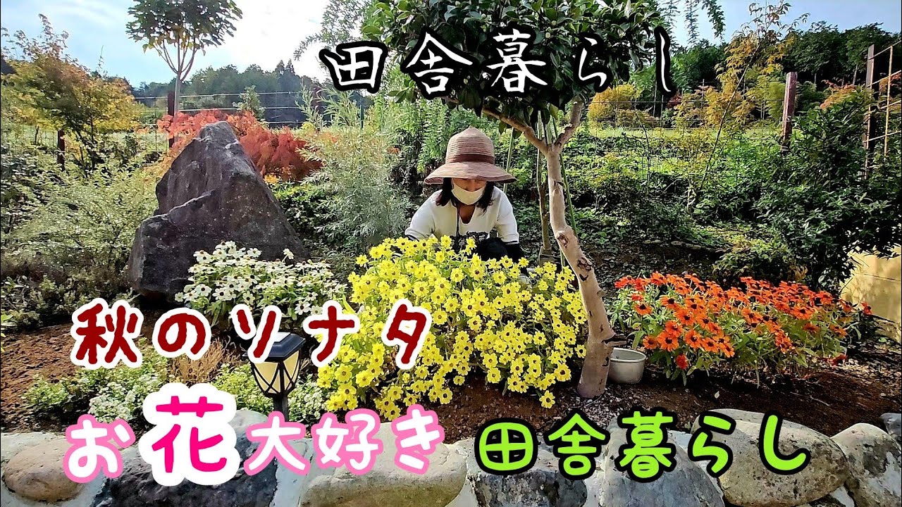 【田舎暮らし日記#29】秋のソナタ🍂村の公民館からお花をたくさんもらいました！