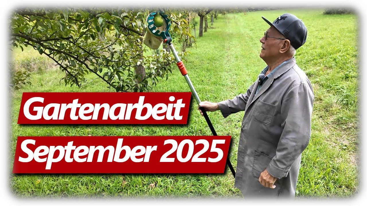 Gartenarbeit September | Diebstahl, Obst Vielfalt, Kısır Rezept, Erntezeit