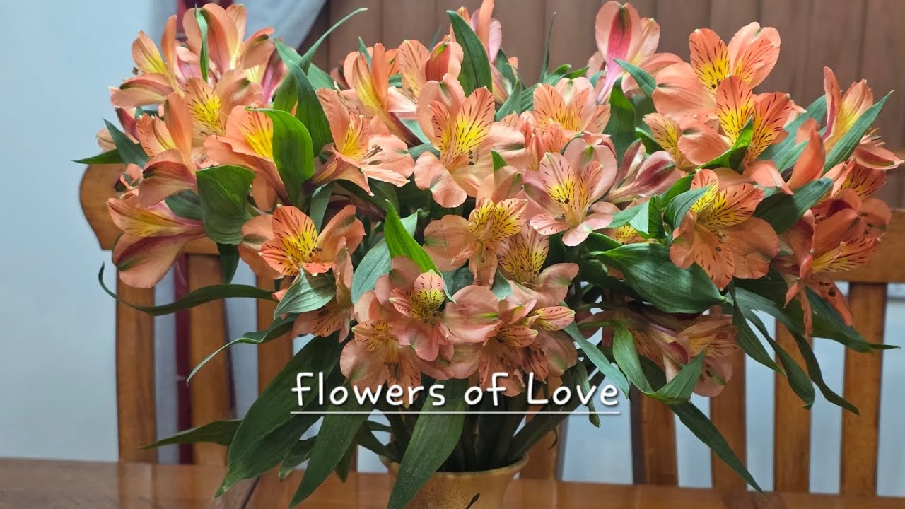 Flowers of Love ❤️ 