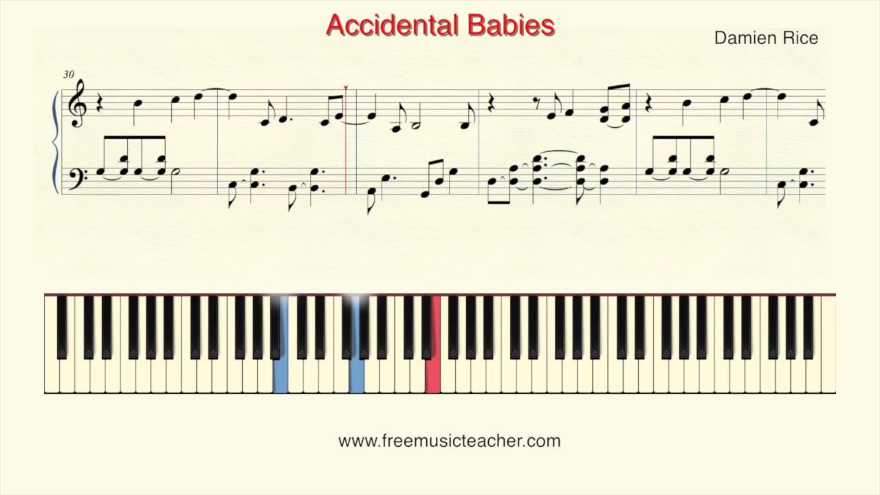 Damien Rice Accidental Babies