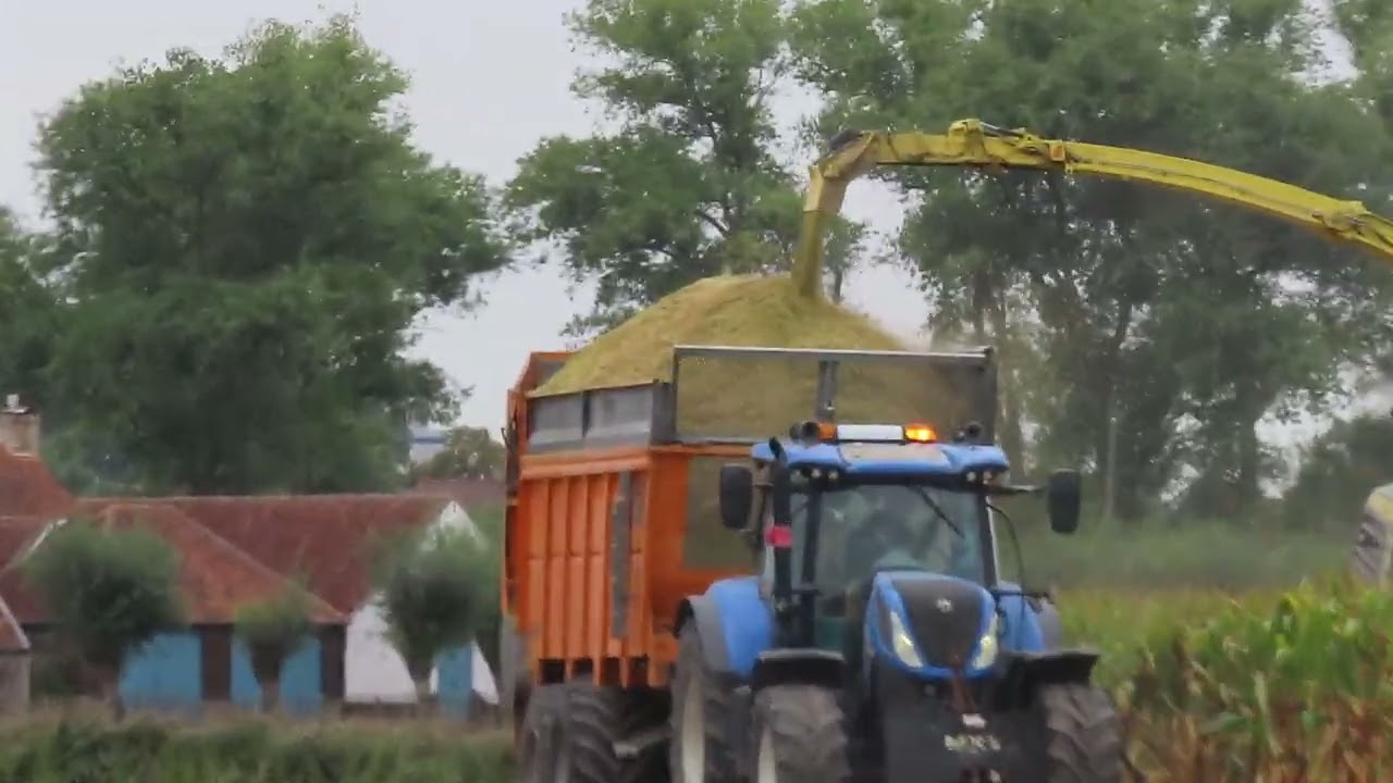 Timmerman-Willem: Mais hakselen.