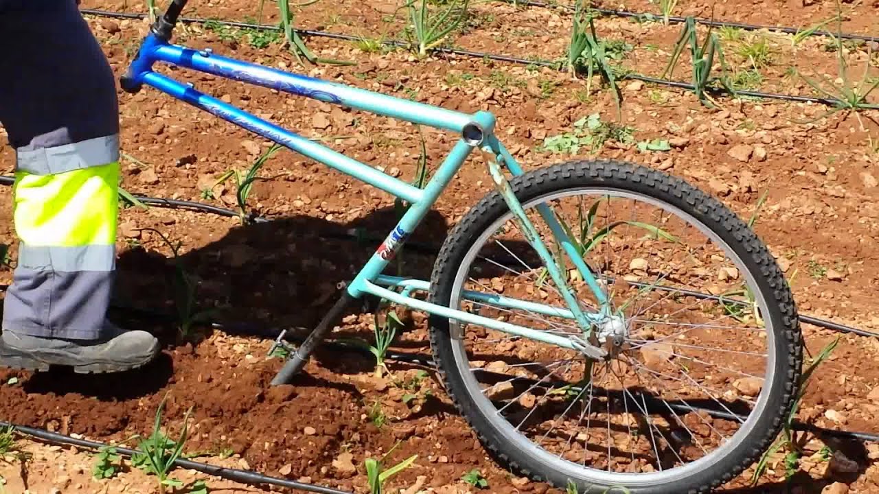 Bicicleta azada