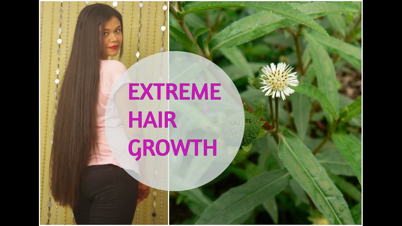 Hair Mask For EXTREME HAIR GROWTH | Indian Ayurvedic Secret|Sushmita's Diaries