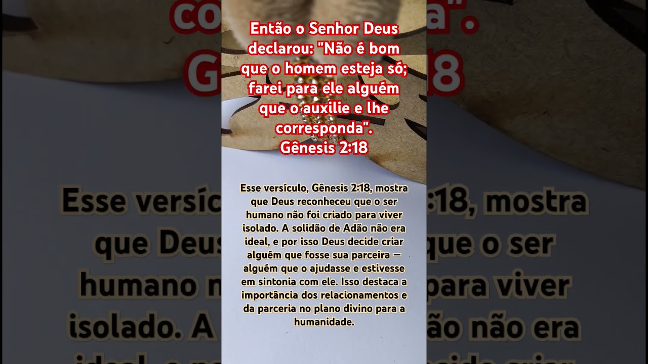 #RelacionamentosDivinos#Companheirismo#Prop&oacute;sitoDeDeus