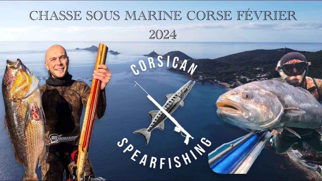 CHASSE SOUS MARINE CORSE FEVRIER 2024