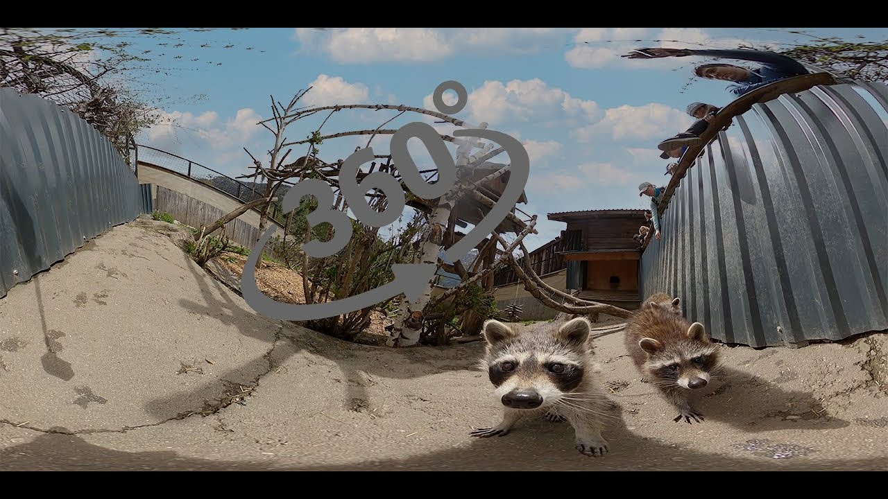 Wildpark Assling 360 grad