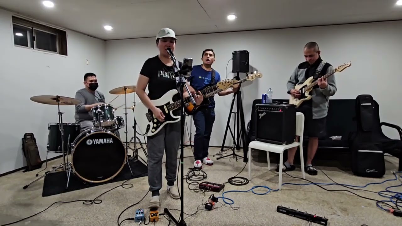 The More You Live The More You Love by The Flock of Seagulls | Cover