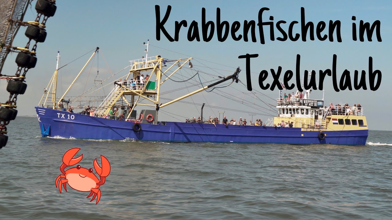 Krabbenfischen im Texelurlaub