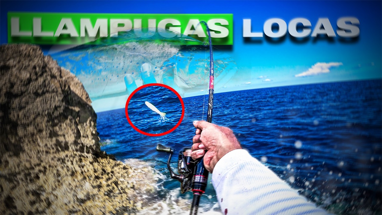 D&iacute;a SO&Ntilde;ADO para cualquier PESCADOR de Spinning [Llampugas y Serviolas] | Lured Vlog 372