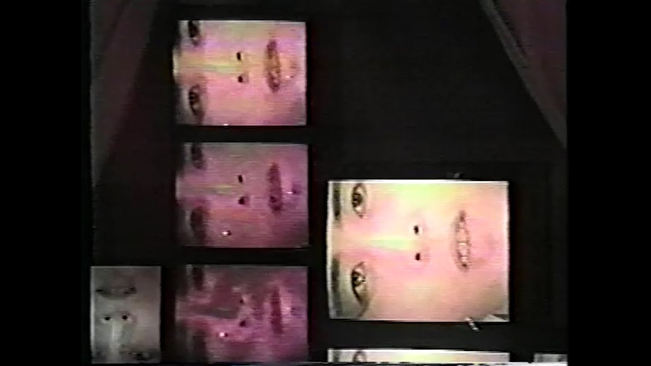 P-MODEL - ZEBRA (Live)