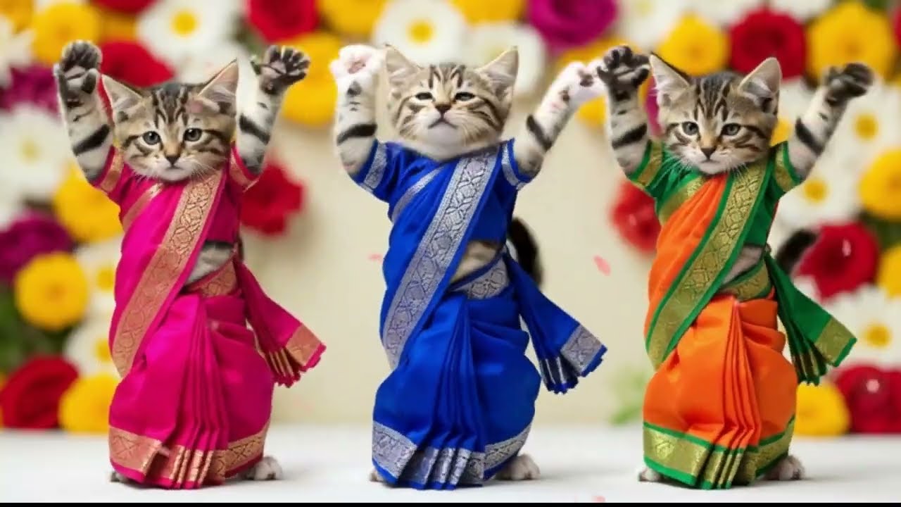 बिल्ली डांस | Cutest Cat videos funny dance🤣💃Videos for cats #funny #dancingcat #cat ‪