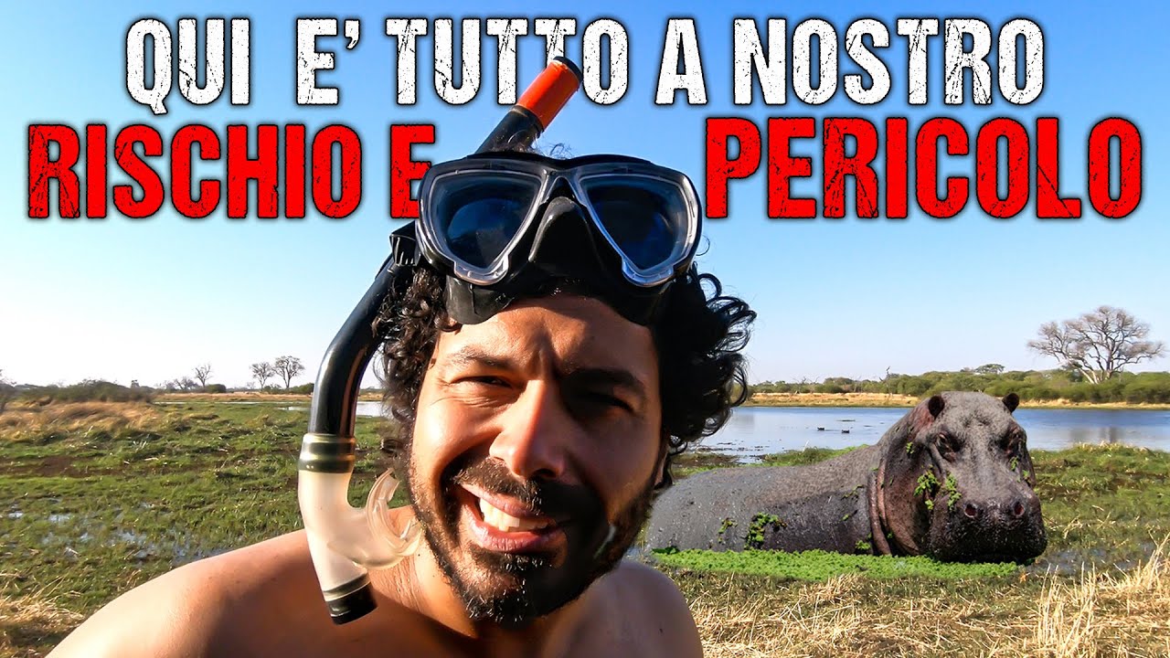 Botswana -  NUOTARE con gli IPPOPOTAMI 😵 dell' Okavango Delta... ( Savuti e Kwhai )