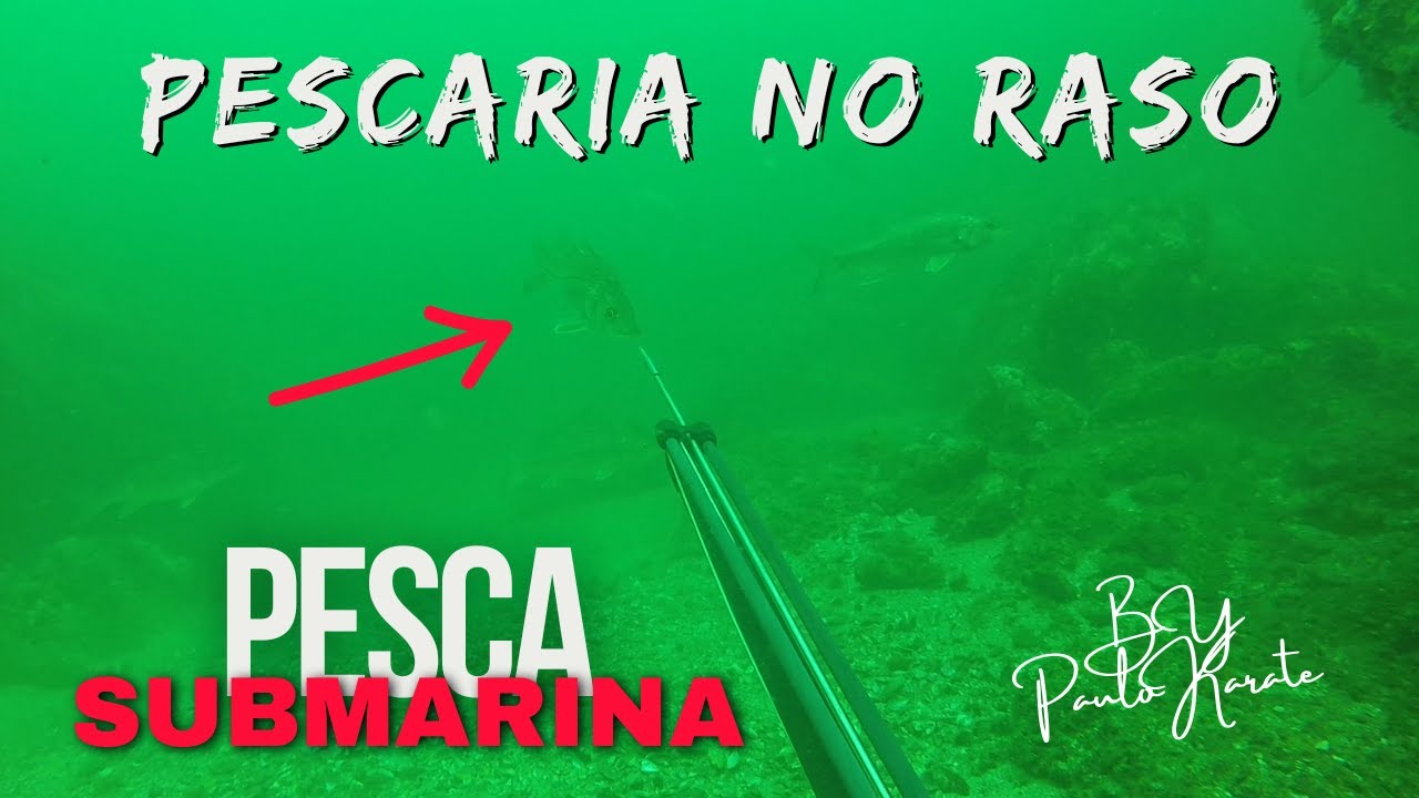 🔱PESCASUB | SPEARFISHING🔱- Peixes no Raso