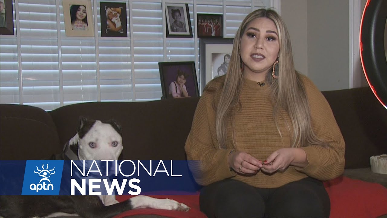 B.C. pitbull reaches America's Funniest Home Videos | APTN News