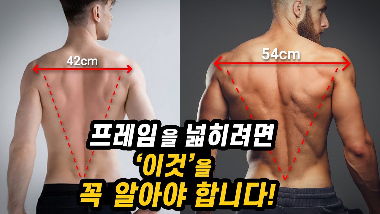 '일반인이 프레임과 등근육을 넓히는 가장 빠른방법!?'