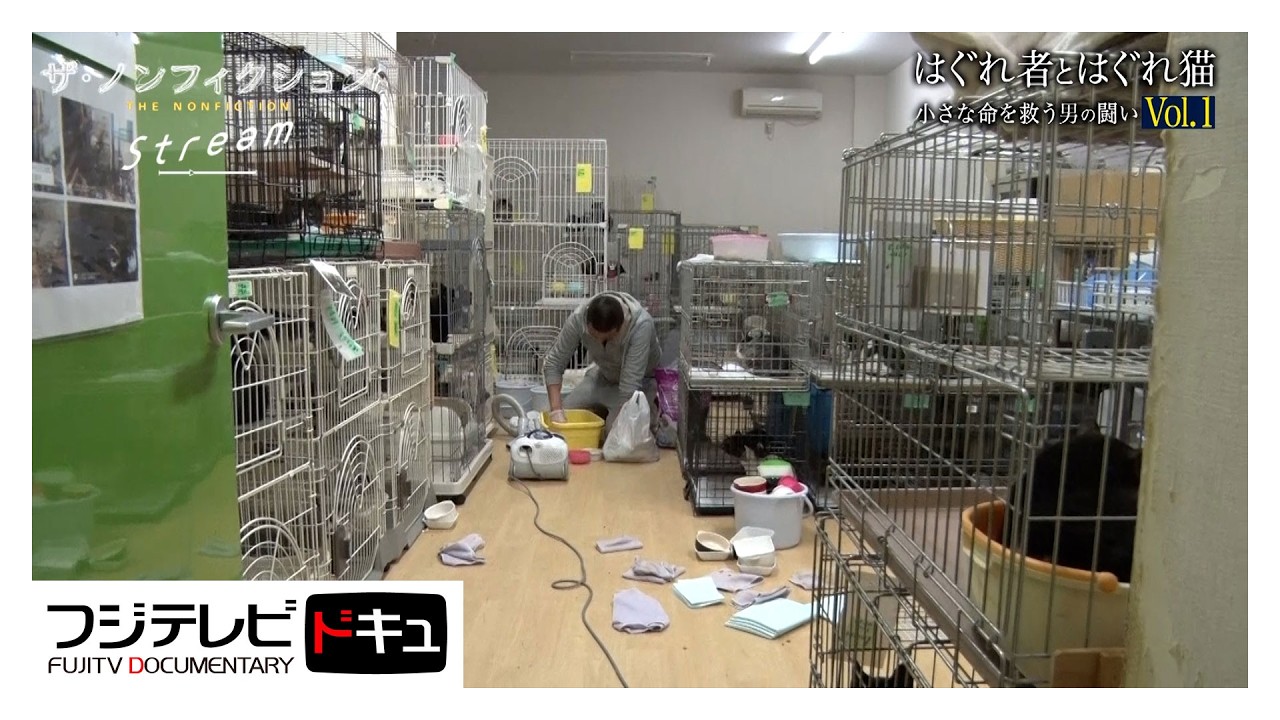 【ザ・ノンフィクション】革ジャン・阪田泰志の猫を救う闘い！行き場のない命を見捨てない“活動家”『はぐれ者とはぐれ猫～小さな命を救う男の闘い～Vol.1』（2021年6月放送オリジナルカット版）