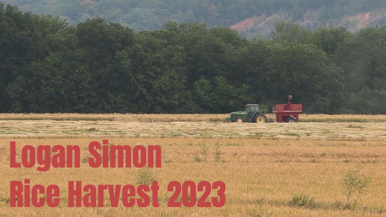 Logan Simon | Rice Harvest 2023