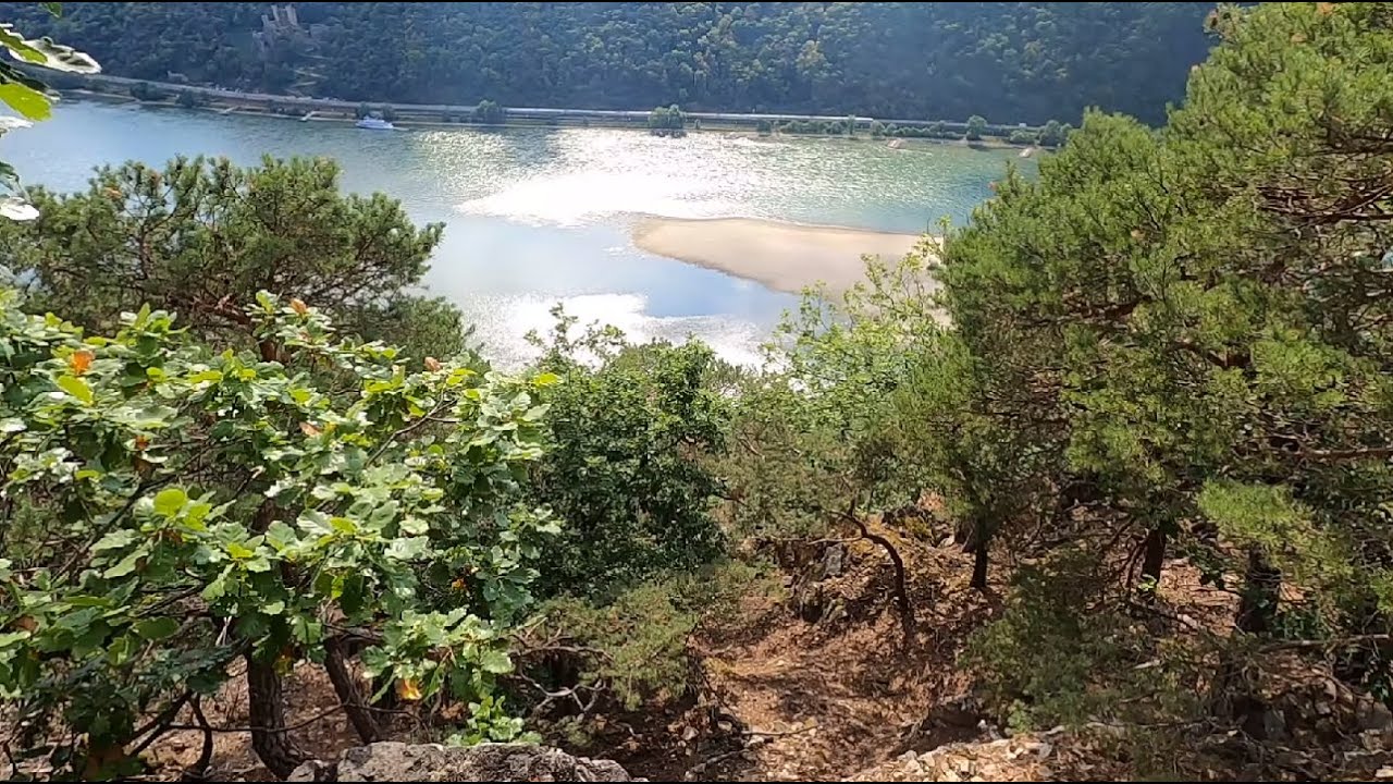 Rheinsteig: Von Lorch nach Assmannshausen
