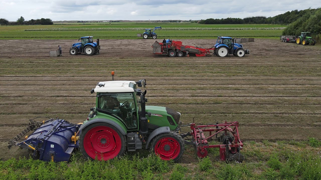 Harvesting flowerbulbs with New Holland T6.175 Auto Command and Nobels 5.18 harvester - 4K