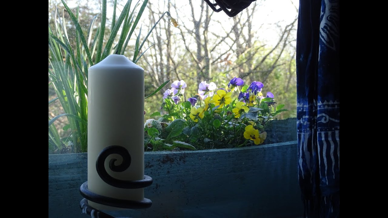 Bealtaine Morning at Bealtaine Cottage, Ireland