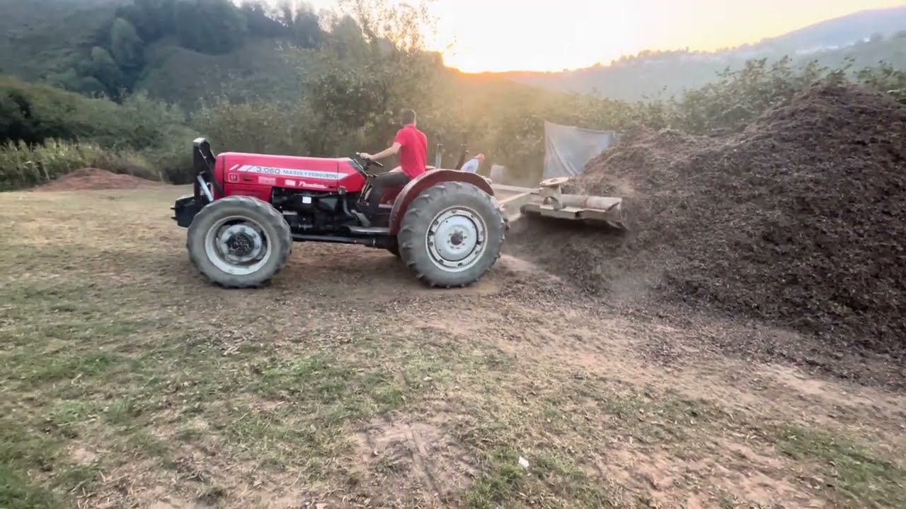 Massey Ferguson 3060 Minimax Sezon Sonu Fındık Kabuğu Etrafı Toplama