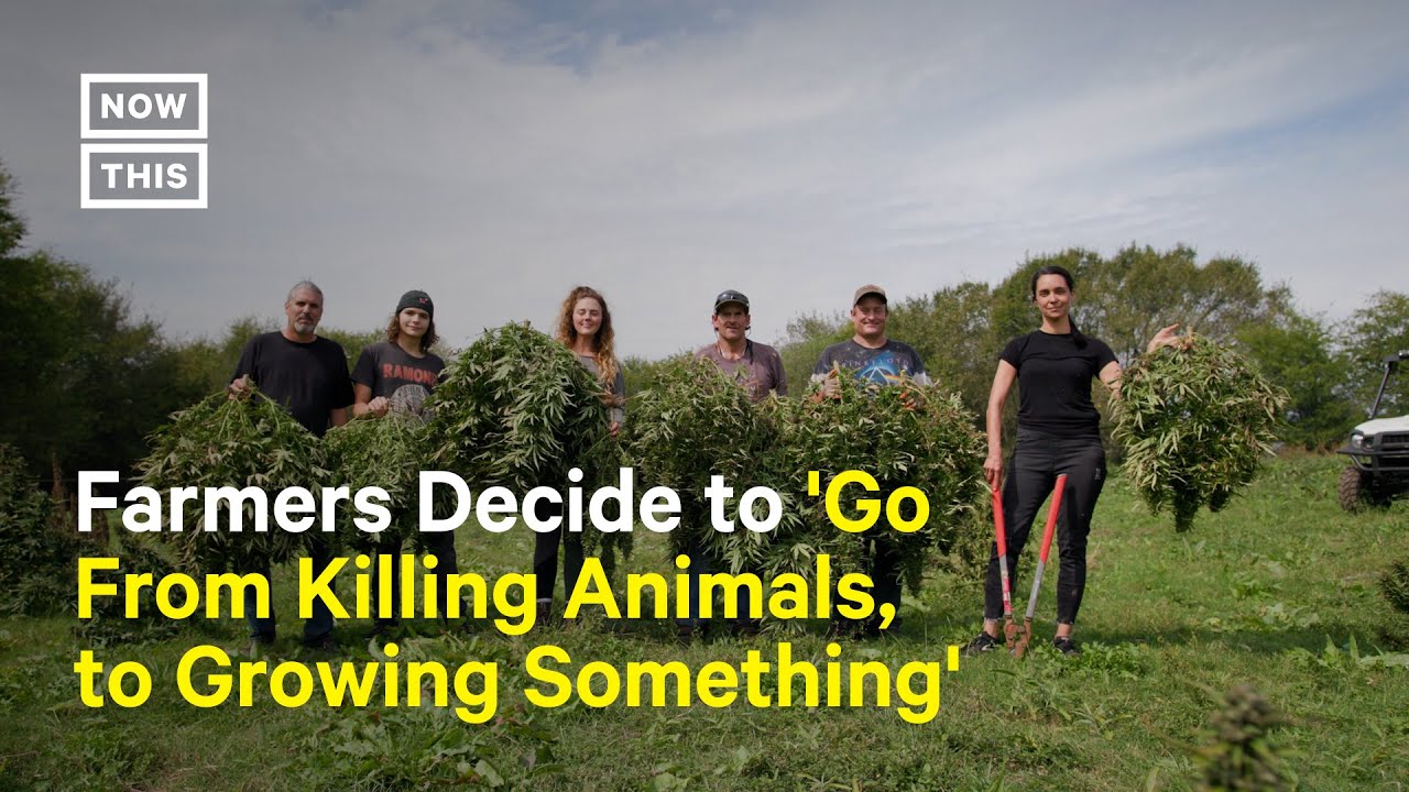 How One Family Went From Factory Farming to Growing Hemp