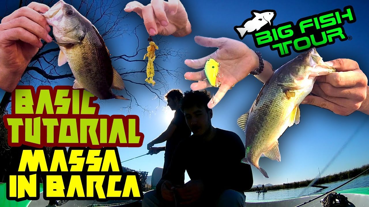 Big fish tour - MASSA IN BARCA, basic tutorial !