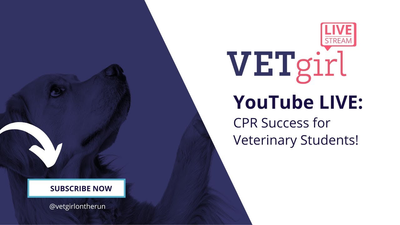 April 13, 2021: YouTube LIVE – CPR Success for Veterinary Students!