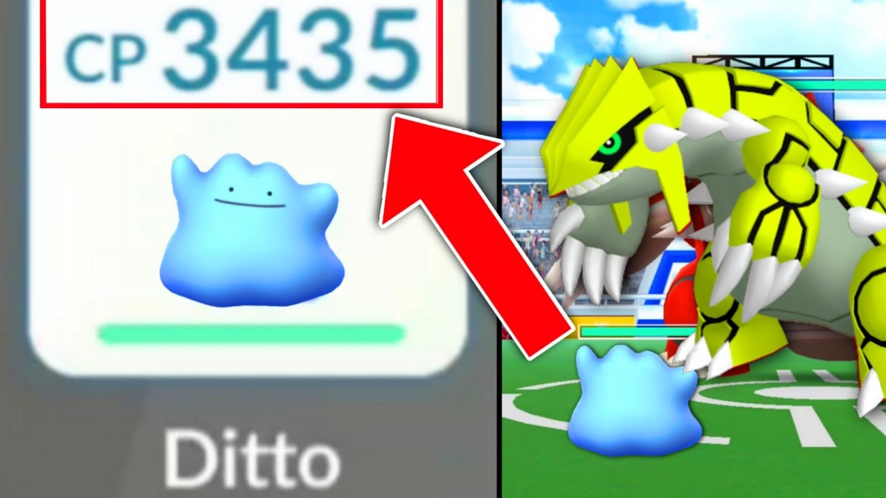 3000+ CP shiny DITTO's  v/s  Groudon in pokemon go raids.