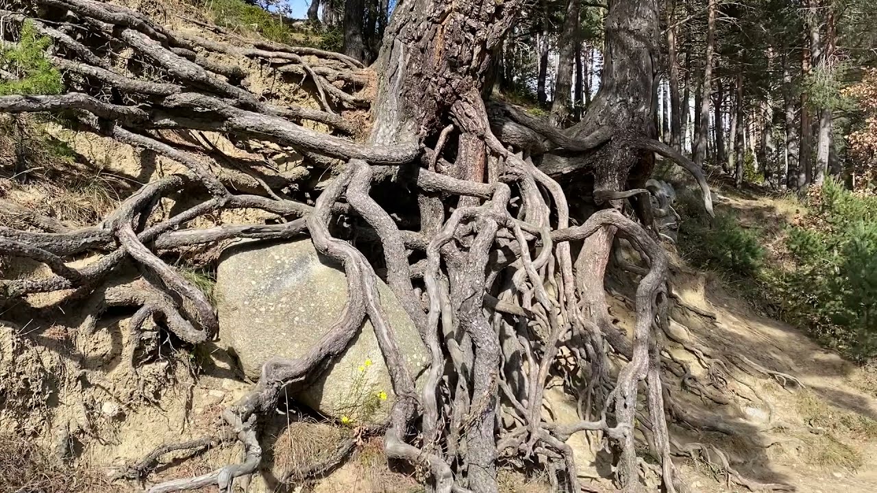Engolasters Lake Ruta de Engolasters Encamp Escaldes-Engordany Andorra