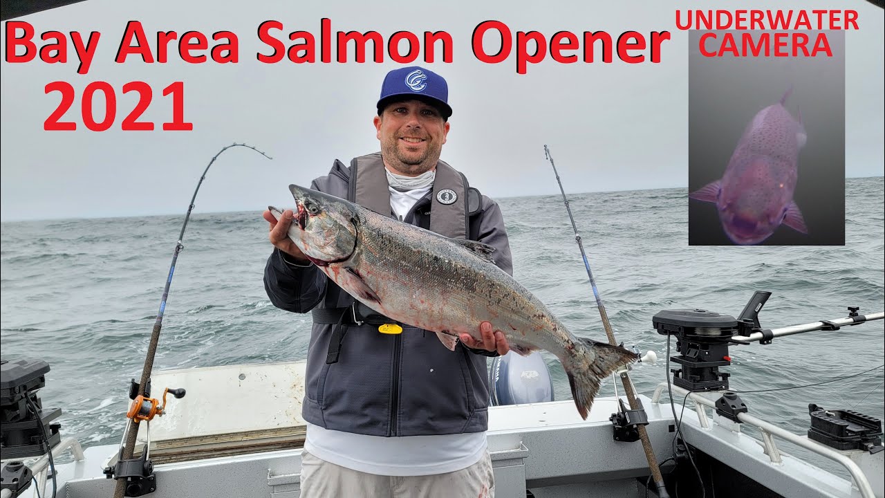 SF Bay Area King Salmon Fishing Opener 2021 | Bodega Bay, CA