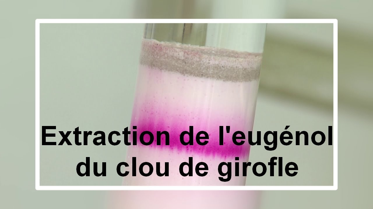 Extraction de l'eugénol du clou de girofle