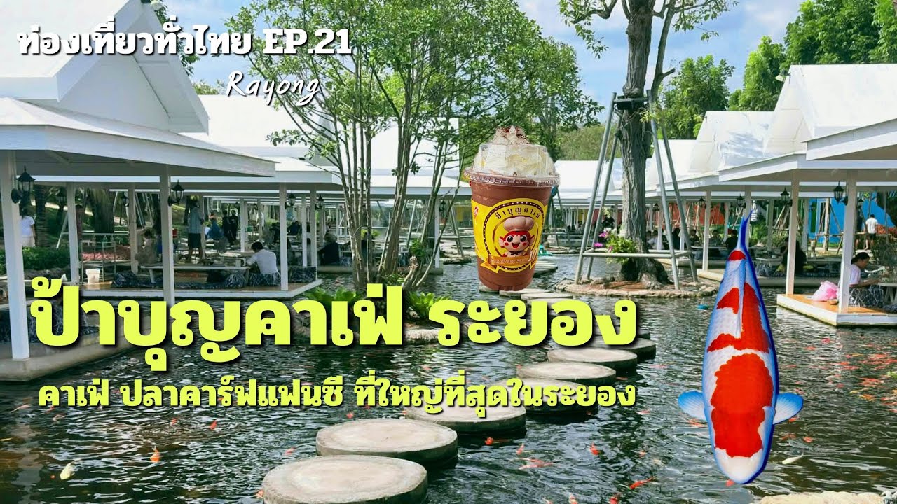 #1รีวิวป้าบุญคาเฟ่ คาเฟ่ปลาคาร์ฟแฟนซีที่ใหญ่ที่สุดในระยอง
