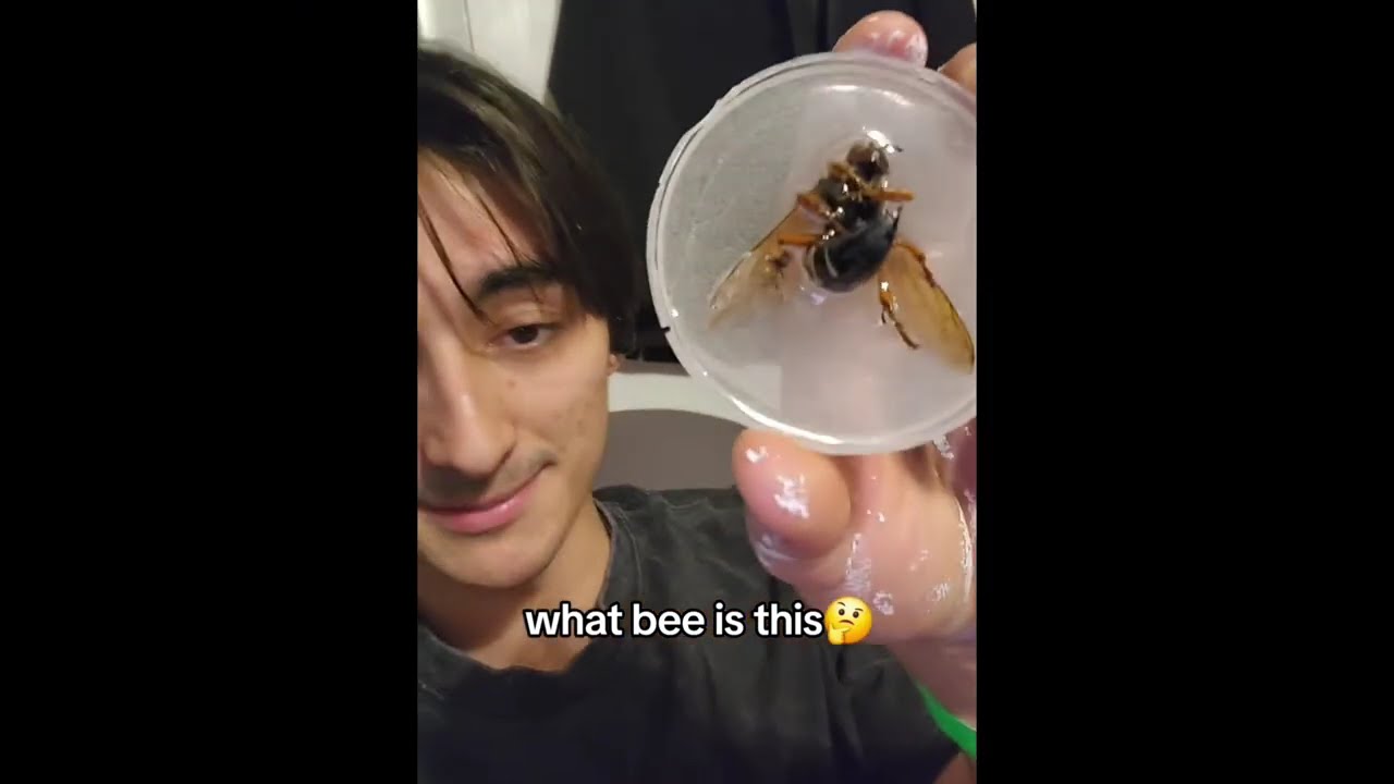 Goofy Posts Getting Cooked By Comments #15 💔🥀