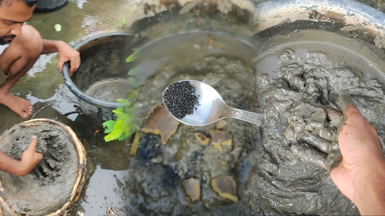 পদ্মের পুরোনো গামলায় মাটি নতুন করে ব্যবহার । খোল দিয়ে পদ্মের মিডিয়া তৈরি ।