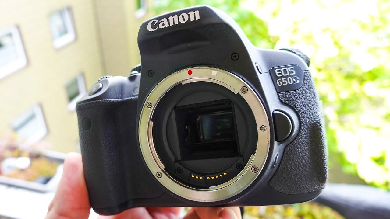 Canon 650D DSLR Camera Test + sample images + autofocus + video footage 2024