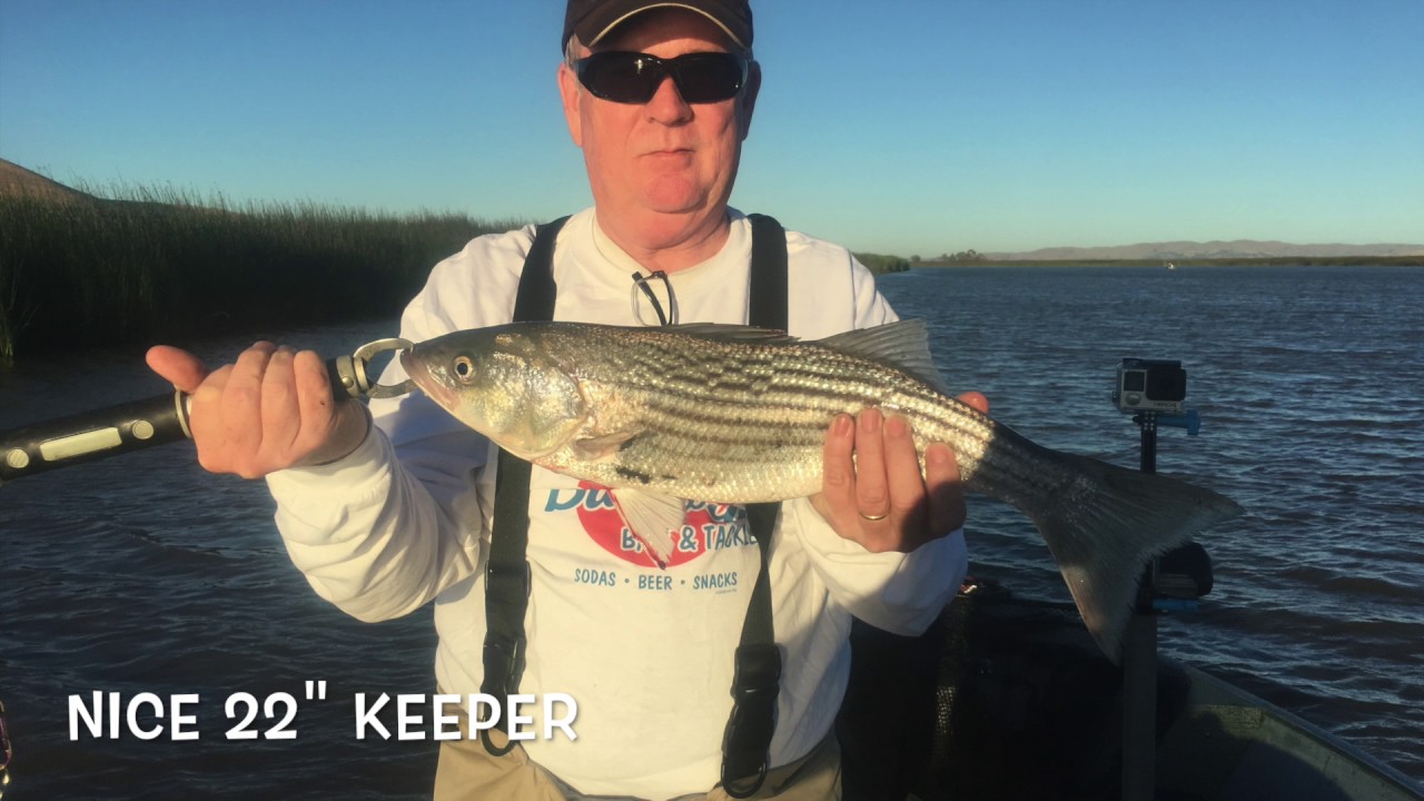 Fathers Day Striper Fishing