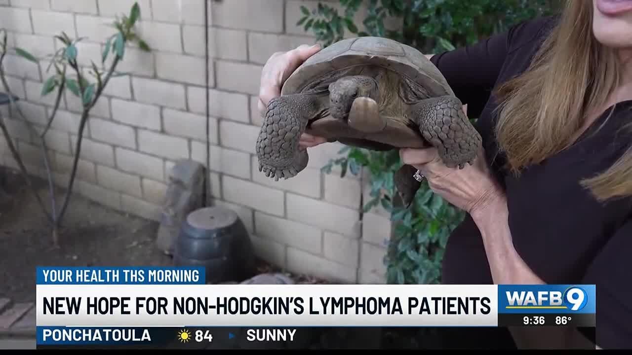 YOUR HEALTH: New hope for Non-Hodgkin&rsquo;s Lymphoma patients