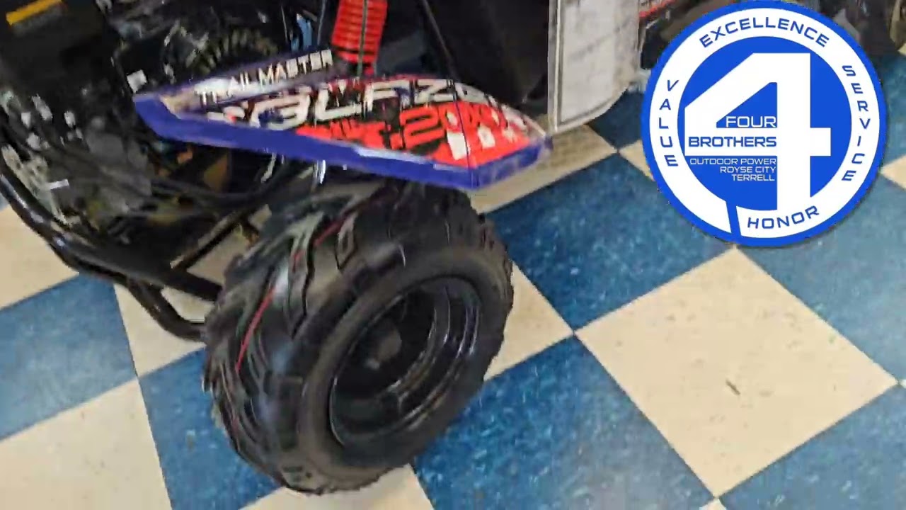 Trailmaster Blazer 200