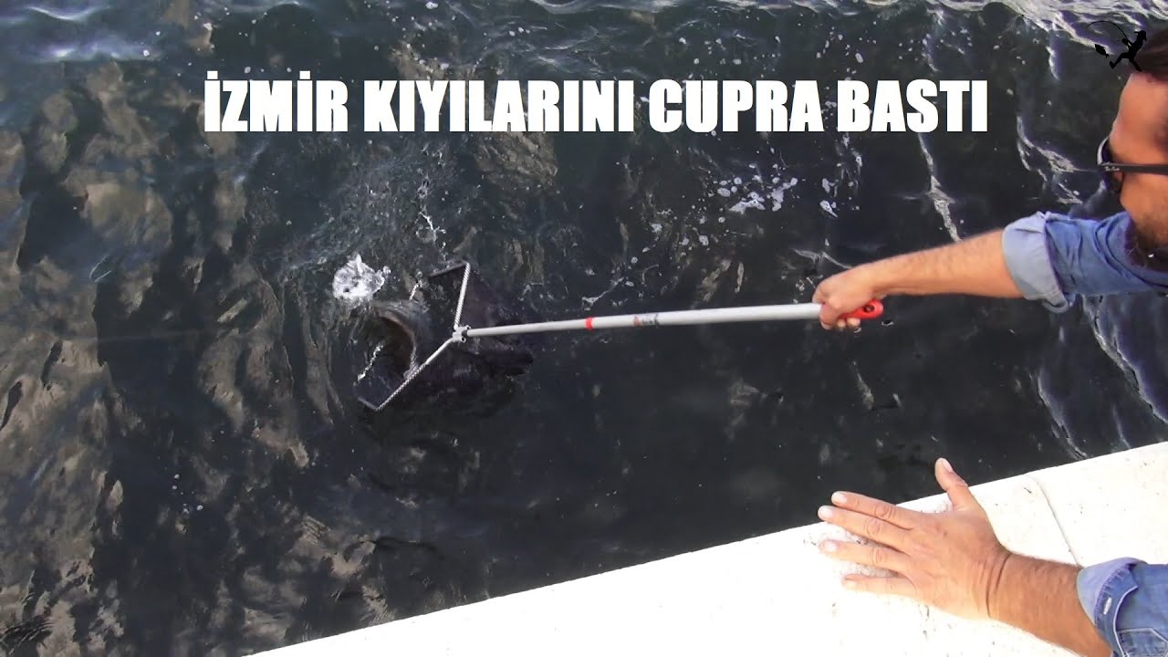 İzmir Kıyılarını Çupra Bastı/ Spin Takıma teknik bakış.