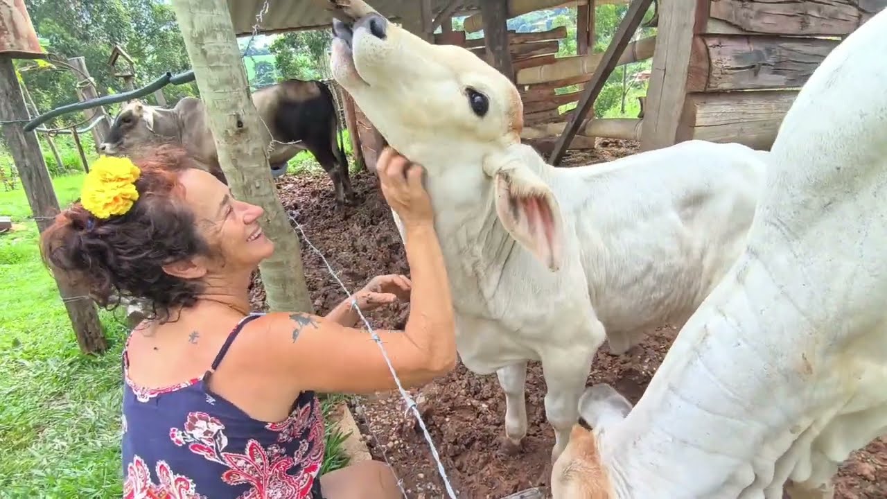 Lucas   acende o fogão a lenha pra fazermos nossas receitas.
