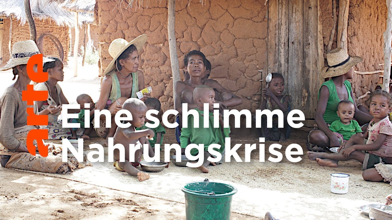Madagaskar: Sie sterben ganz leise | ARTE Reportage