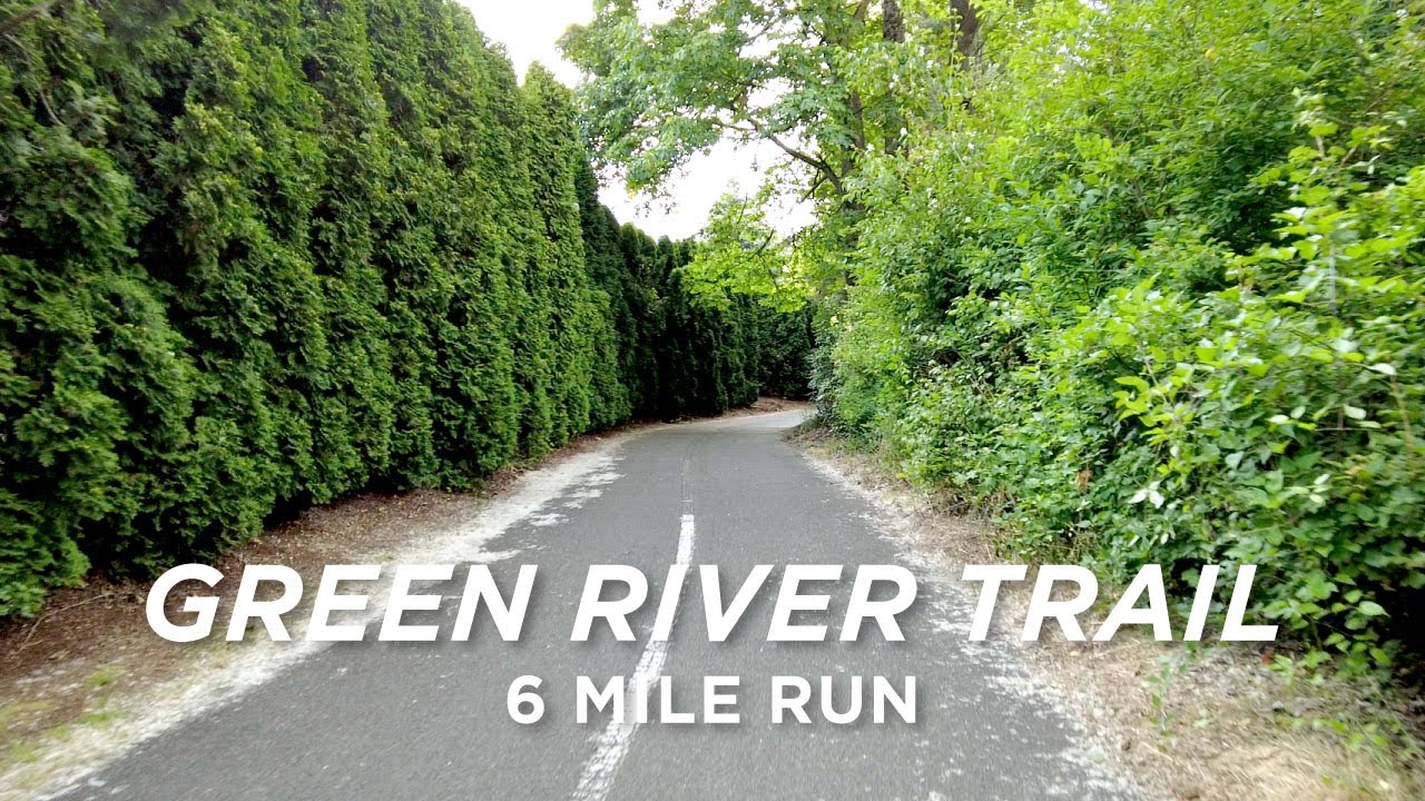 Green River Trail near Seattle | Virtual Run | 6 Miles | 4K