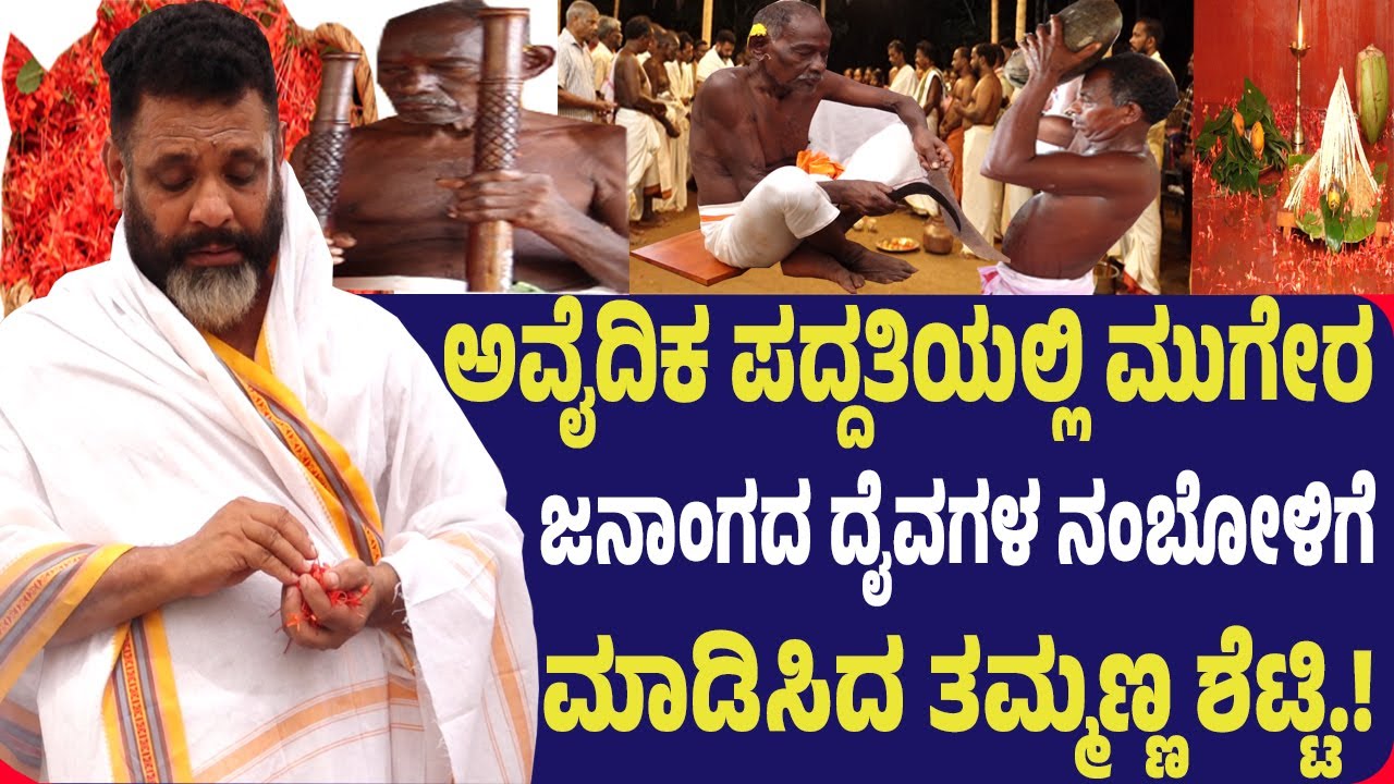 ಅವೈದಿಕ ಪದ್ದತಿಯಲ್ಲಿ ತುಳುನಾಡಿನ ಮೂಲ ಜನಾಂಗ ಮುಗೇರ ಸಮುದಾಯದ ದೈವಗಳ ನಂಬೋಳಿಗೆ ಮಾಡಿಸಿದ ತಮ್ಮಣ್ಣ ಶೆಟ್ಟಿ.!