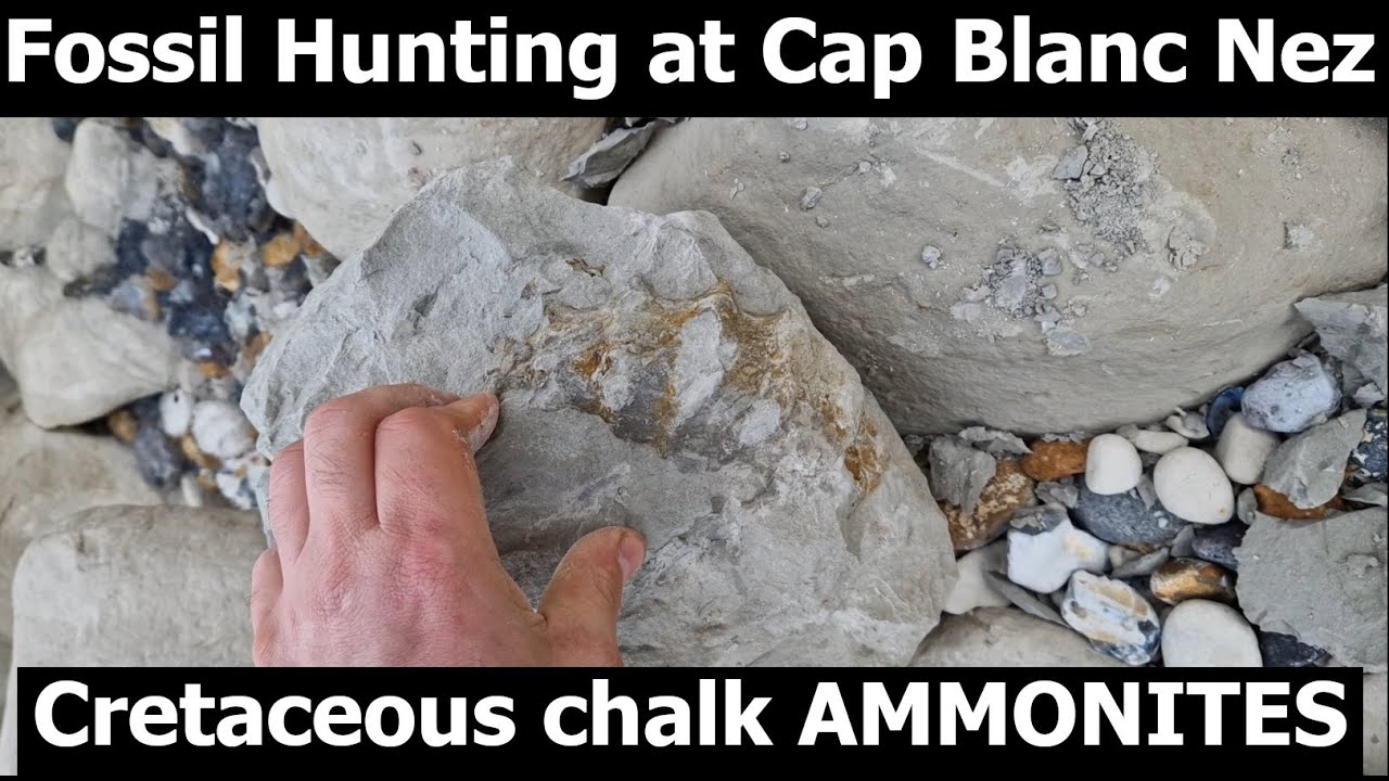 #fossilhunting in France at #capblancnez for large cretaceous chalk #ammonite #fossils cap blanc nez