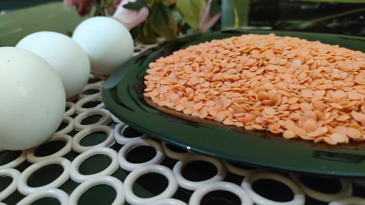torta salata con lenticchie rosse!!#ricette #lenticchie #rosse
