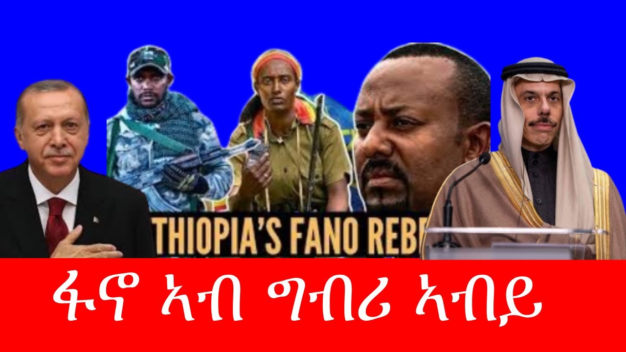 ስዑዲ ዓረብ ምስ ኣዲስ || ፋኖ ምስ ሓይልታት ወጻኢ 2/11/2026
