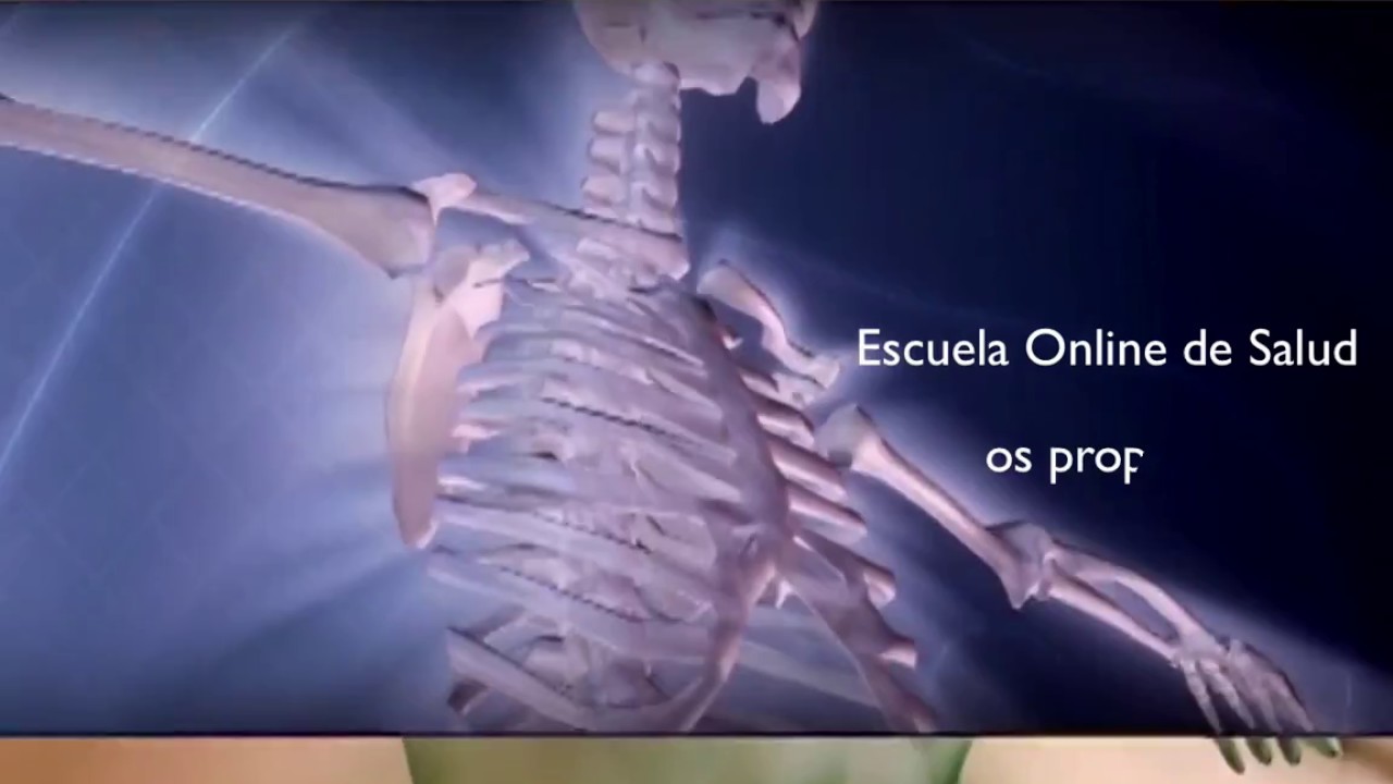 ESCUELA ONLINE DE SALUD