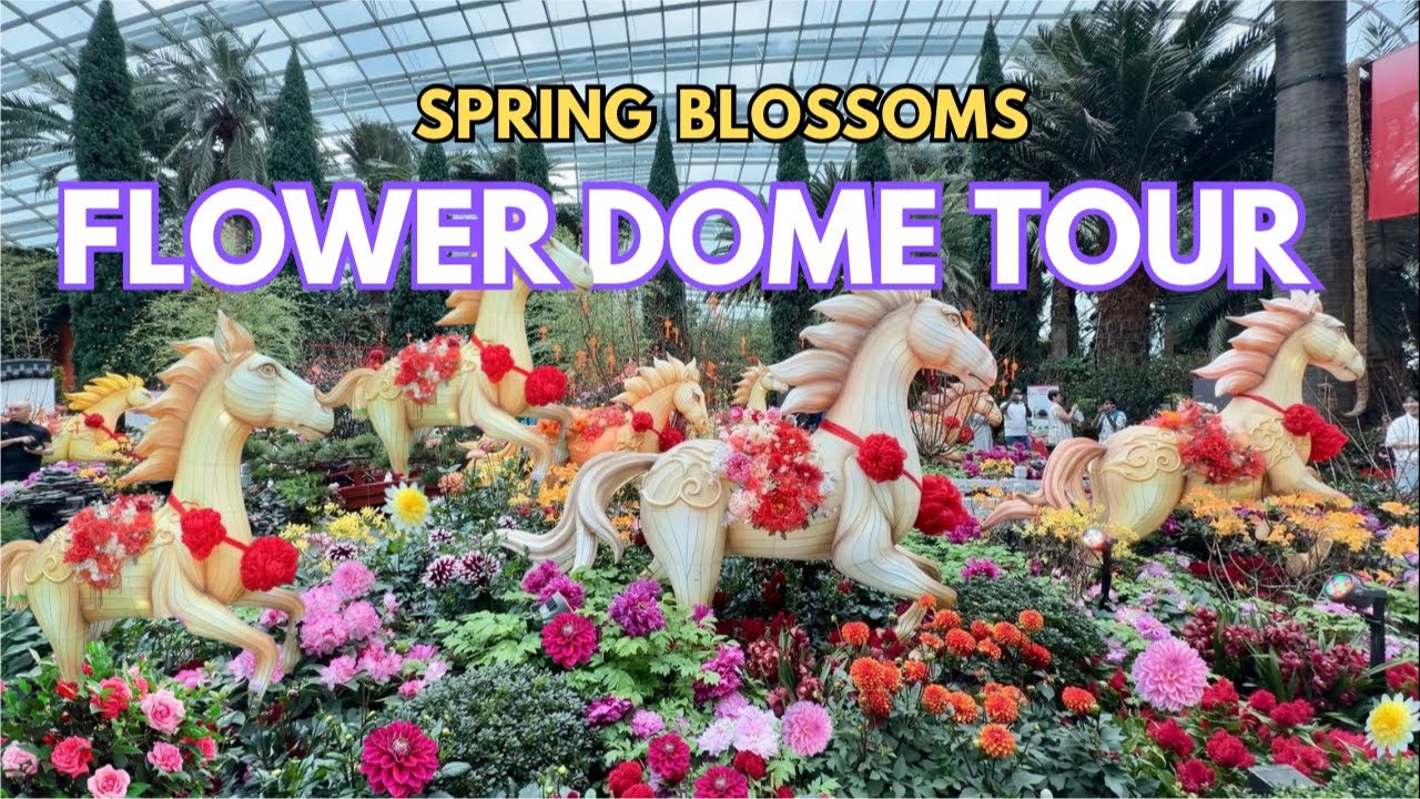 🌺 Spring Blossoms 2026 Flower Dome Tour | Year Of Horse 2026 | Singapore Gardens By The Bay
